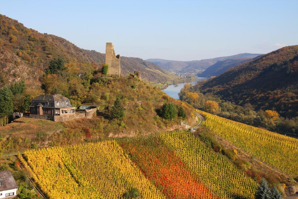 Weinhotel Hubertus Garni クロッテン エクステリア 写真