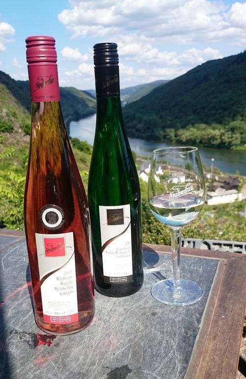 Weinhotel Hubertus Garni クロッテン エクステリア 写真