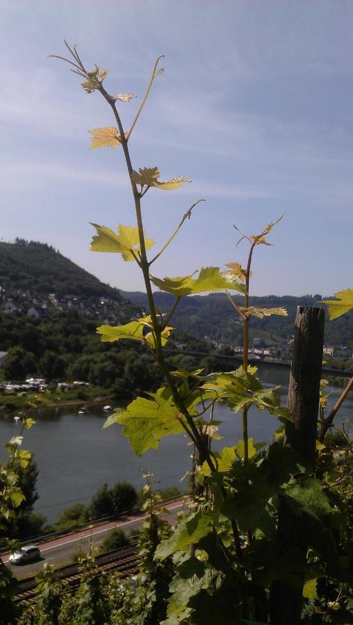 Weinhotel Hubertus Garni クロッテン エクステリア 写真